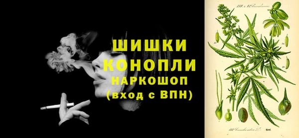 дурь Козловка