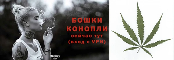 индика Кодинск